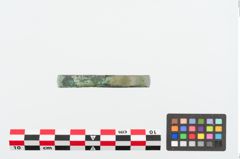 Foto von Bronzebandarmreif (NHMW-PRAE-024993)